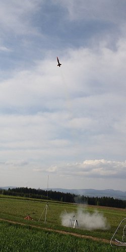 2012 Svojek mirek patek